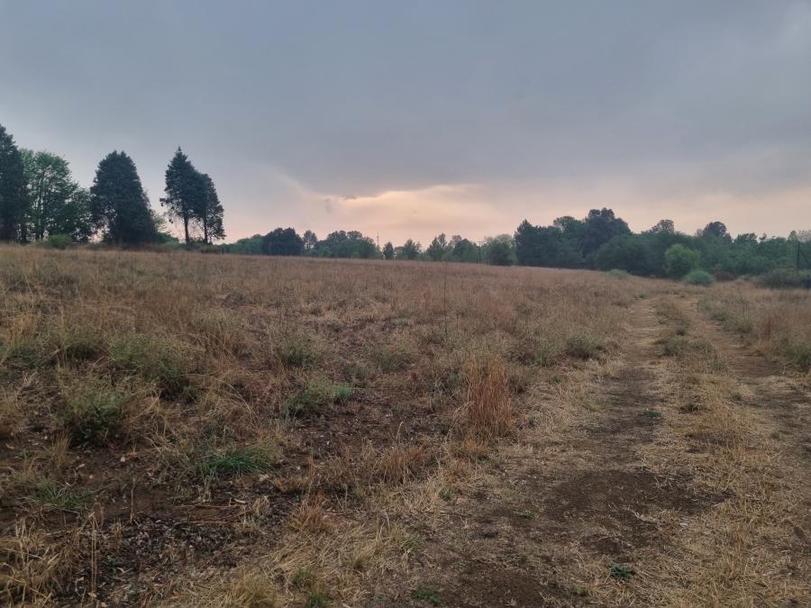 0 Bedroom Property for Sale in Vaalpark Free State